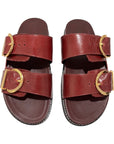 Birken Livi