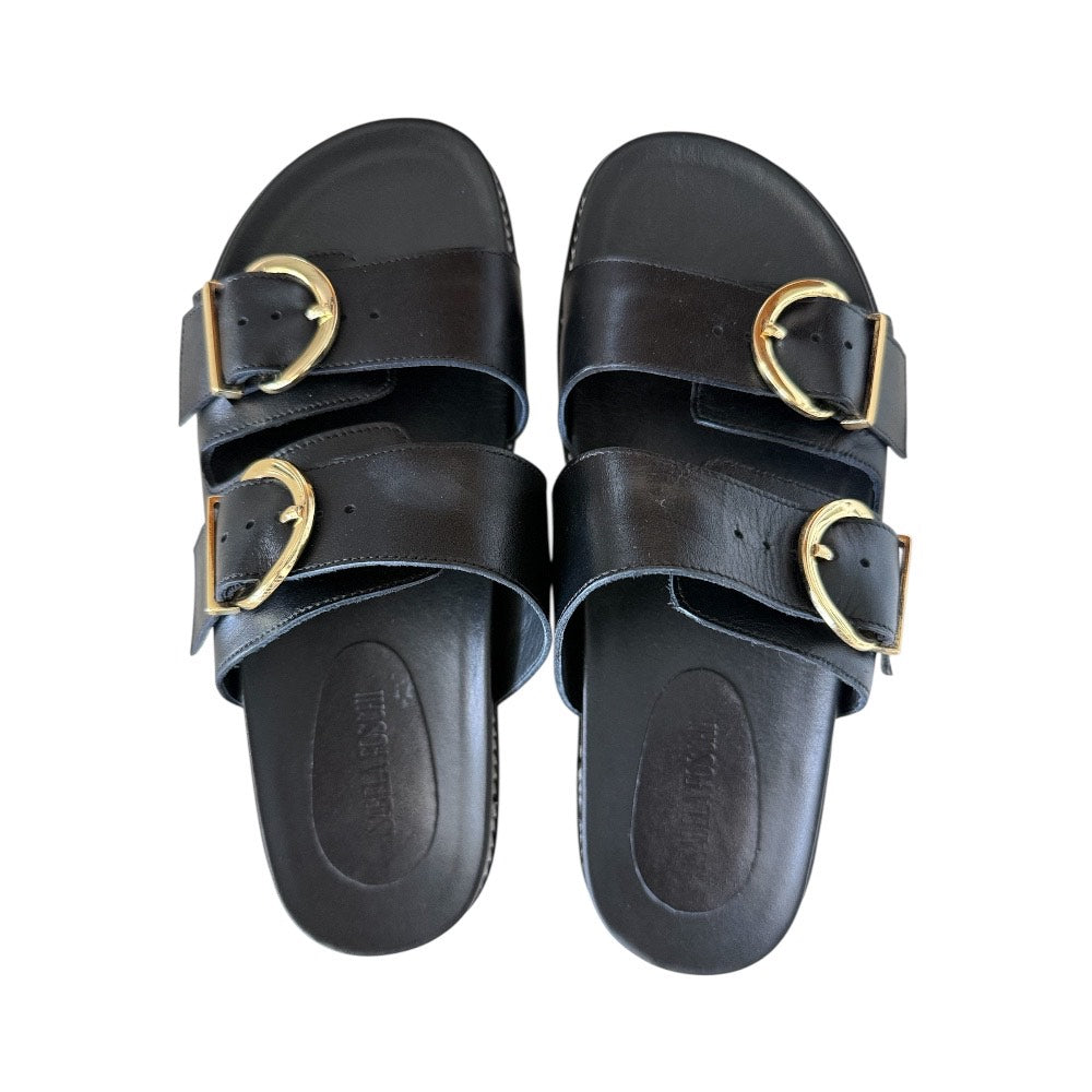 Birken Livi